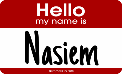 Hello my name is Nasiem png download