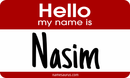 Hello my name is Nasim png download