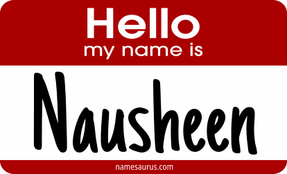 Hello my name is Nausheen png download