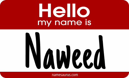 Hello my name is Naweed png download