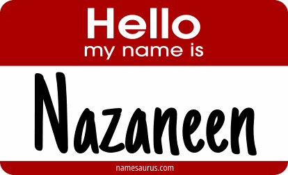 Hello my name is Nazaneen png download
