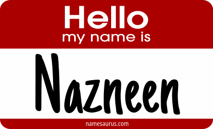 Hello my name is Nazneen png download