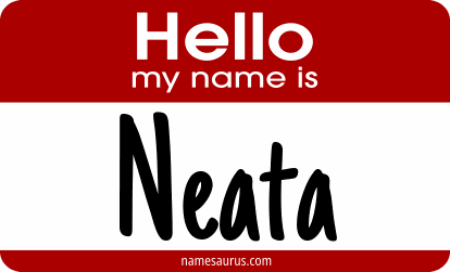 Hello my name is Neata png download