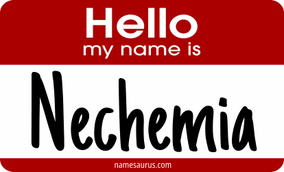 Hello my name is Nechemia png download
