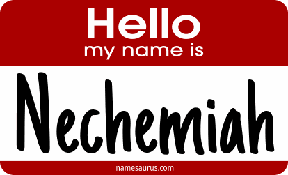 Hello my name is Nechemiah png download