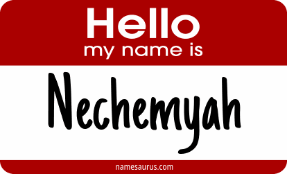 Hello my name is Nechemyah png download