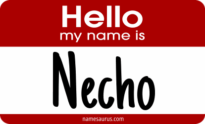 Hello my name is Necho png download