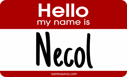 Hello my name is Necol png download