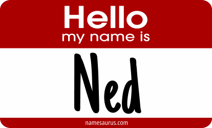 Hello my name is Ned png download