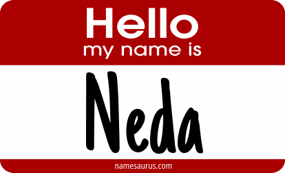 Hello my name is Neda png download