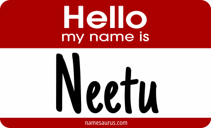 Hello my name is Neetu png download