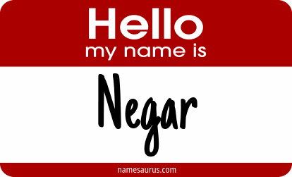 Hello my name is Negar png download