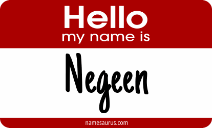 Hello my name is Negeen png download