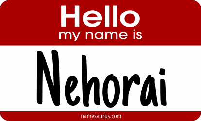 Hello my name is Nehorai png download