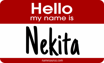 Hello my name is Nekita png download