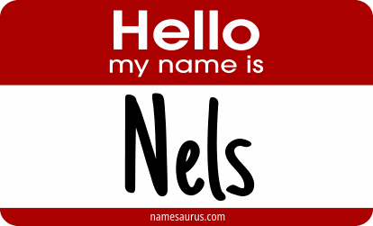 Hello my name is Nels png download