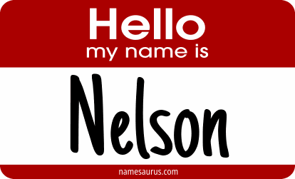 Hello my name is Nelson png download
