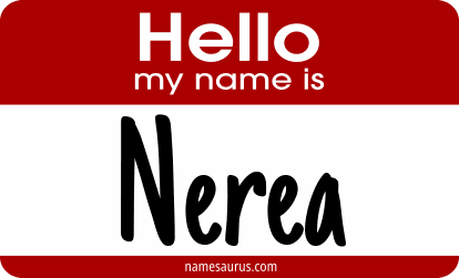 Hello my name is Nerea png download
