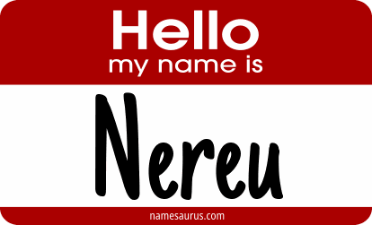 Hello my name is Nereu png download