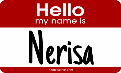 Hello my name is Nerisa png download