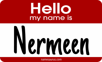 Hello my name is Nermeen png download