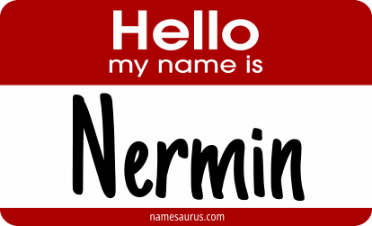 Hello my name is Nermin png download