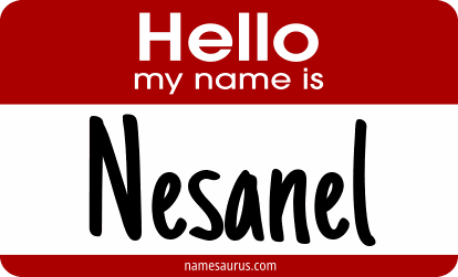 Hello my name is Nesanel png download
