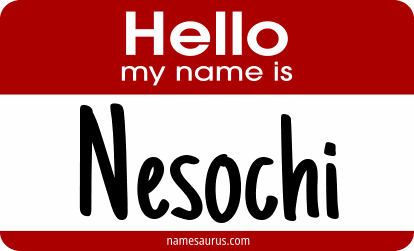Hello my name is Nesochi png download