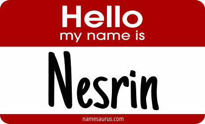 Hello my name is Nesrin png download