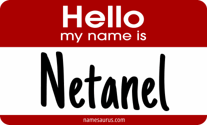 Hello my name is Netanel png download