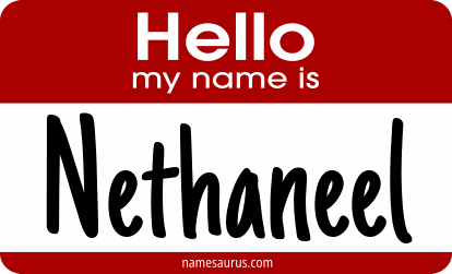 Hello my name is Nethaneel png download