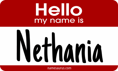 Hello my name is Nethania png download