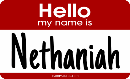 Hello my name is Nethaniah png download