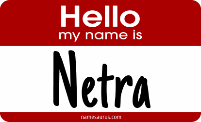 Hello my name is Netra png download