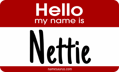 Hello my name is Nettie png download