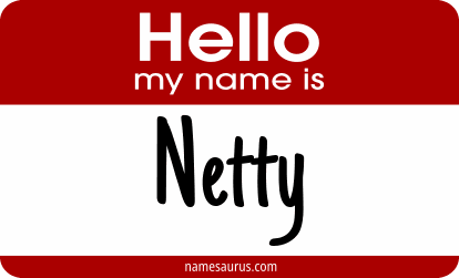 Hello my name is Netty png download