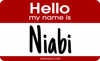 Hello my name is Niabi png download