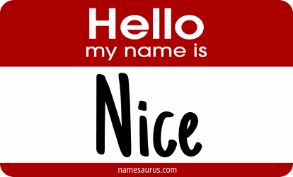 Hello my name is Nice png download
