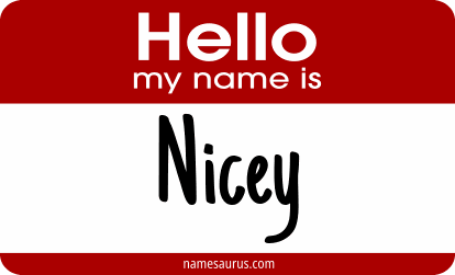 Hello my name is Nicey png download