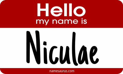 Hello my name is Niculae png download