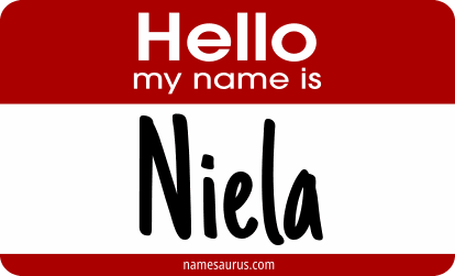 Hello my name is Niela png download