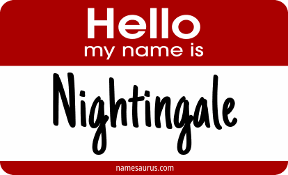 Hello my name is Nightingale png download
