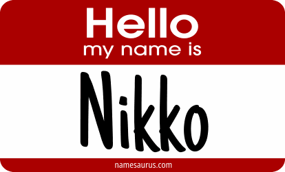 Hello my name is Nikko png download