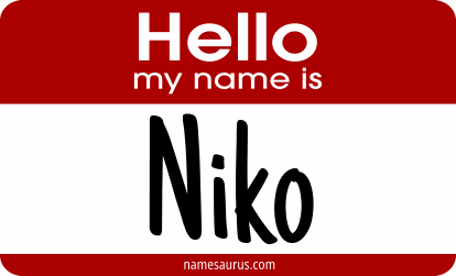 Hello my name is Niko png download