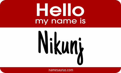 Hello my name is Nikunj png download