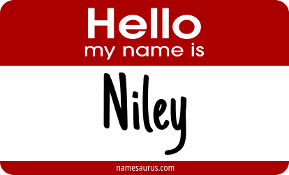 Hello my name is Niley png download