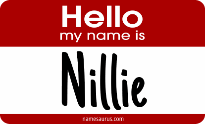 Hello my name is Nillie png download