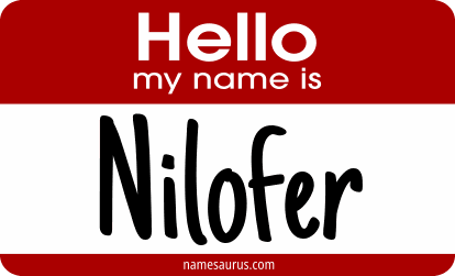 Hello my name is Nilofer png download