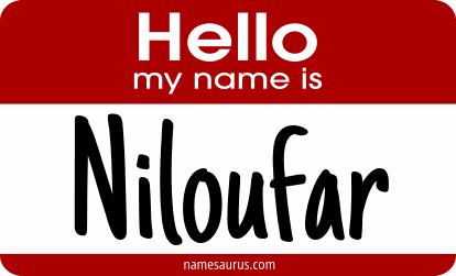 Hello my name is Niloufar png download