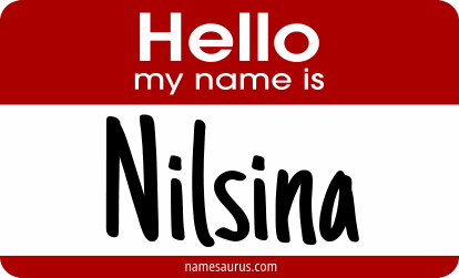 Hello my name is Nilsina png download